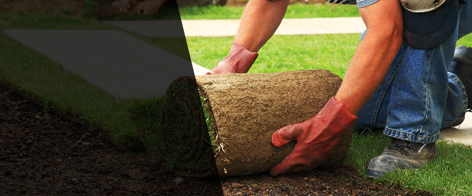 Mankato Landscapers